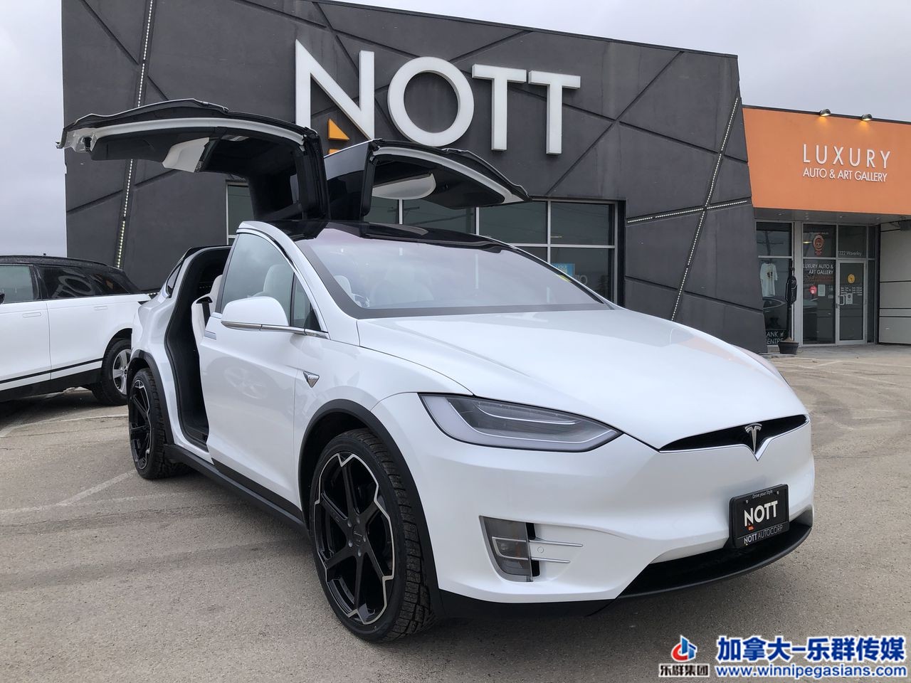 2020 MODEL X 100D.jpg