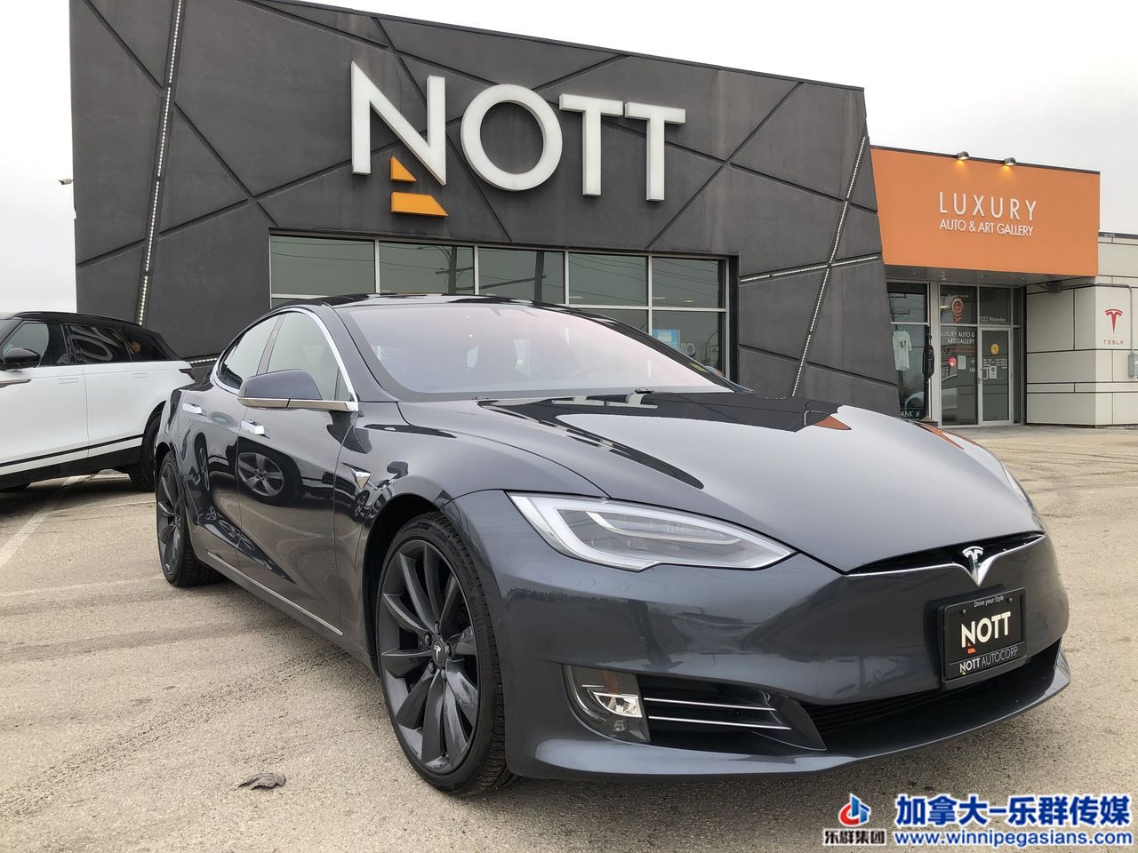 2017 MODEL S 90D.jpg