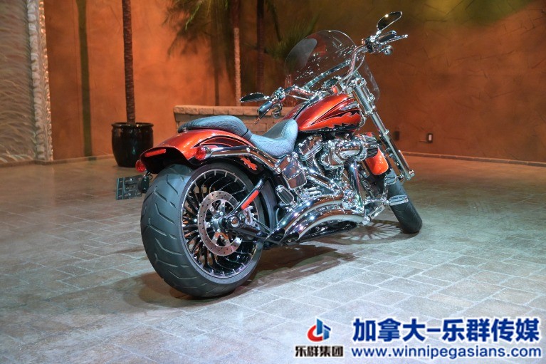 Used-2014-Harley-Davidson-FXSB-Screamin-Eagle-CVO-110B-Twin-Cam-ONLY-2500-KMS!-1.jpg