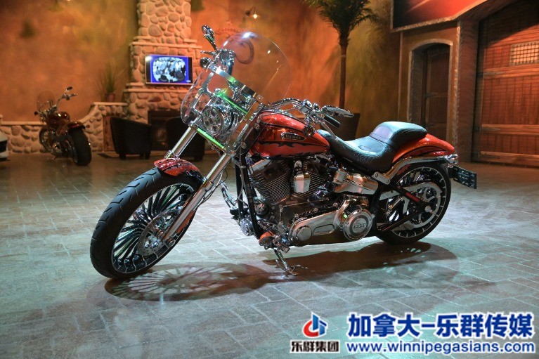 Used-2014-Harley-Davidson-FXSB-Screamin-Eagle-CVO-110B-Twin-Cam-ONLY-2500-KMS!-1.jpg