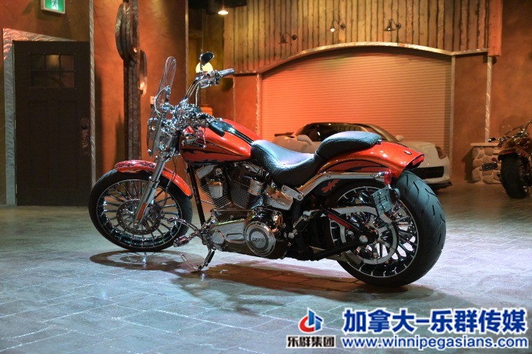 Used-2014-Harley-Davidson-FXSB-Screamin-Eagle-CVO-110B-Twin-Cam-ONLY-2500-KMS!-1.jpg