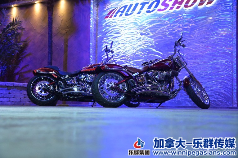 Used-2014-Harley-Davidson-FXSB-Screamin-Eagle-CVO-110B-Twin-Cam-ONLY-2500-KMS!-1.jpg