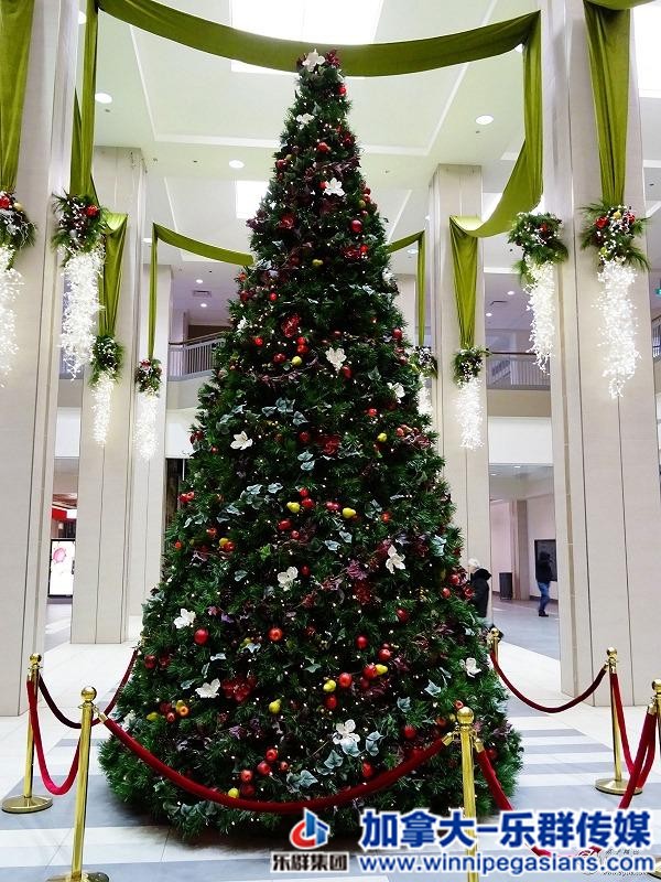 冬天了，去个更冷的地方 -- 温尼伯游记-26.jpg