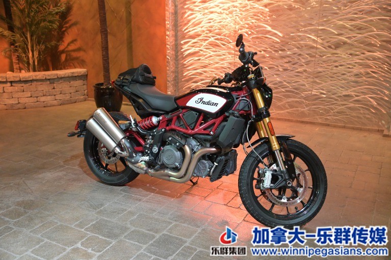 Used-2019-Indian-FTR-S-RARE-Race-Replica-_Brembo-Akrapovic_-1623270161 (1).jpg