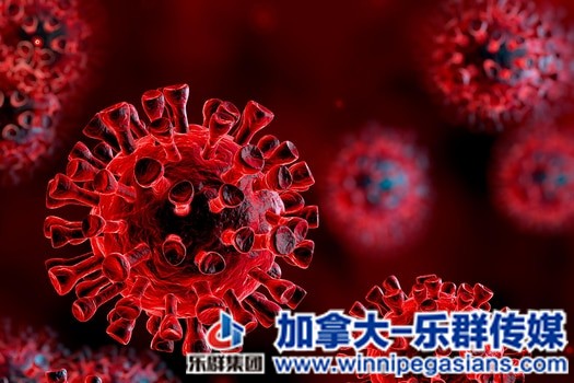 virus_3d_render_red_04_other.jpg