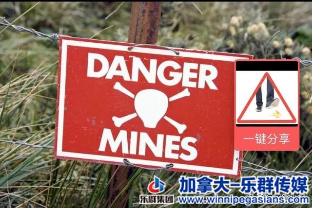 警惕！头条的几个雷区，你撞到多少？-1.jpg