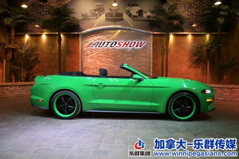 Used-2019-Ford-Mustang-6-Speed-Custom-Convertible-_Nav-ONLY-5300-KMS!_-1632187739 (3).jpg