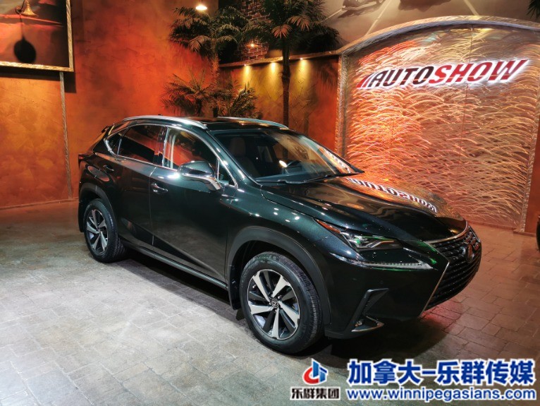 Used-2019-Lexus-NX-300-AWD-TOP-TRIM-EXECUTIVE-PACKAGE!-1644526782 (1).jpg