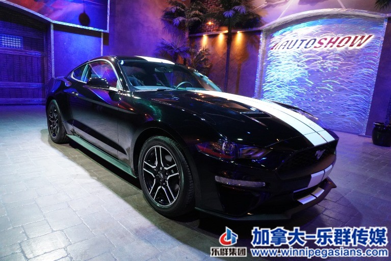 Used-2020-Ford-Mustang-EcoBoost-Coupe-w-Big-Screen-Rmt-Start-Only-2k-Kms-!!-1647.jpg