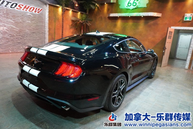 Used-2020-Ford-Mustang-EcoBoost-Coupe-w-Big-Screen-Rmt-Start-Only-2k-Kms-!!-1647.jpg