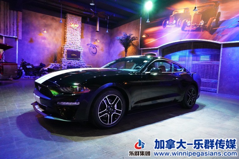 Used-2020-Ford-Mustang-EcoBoost-Coupe-w-Big-Screen-Rmt-Start-Only-2k-Kms-!!-1647.jpg