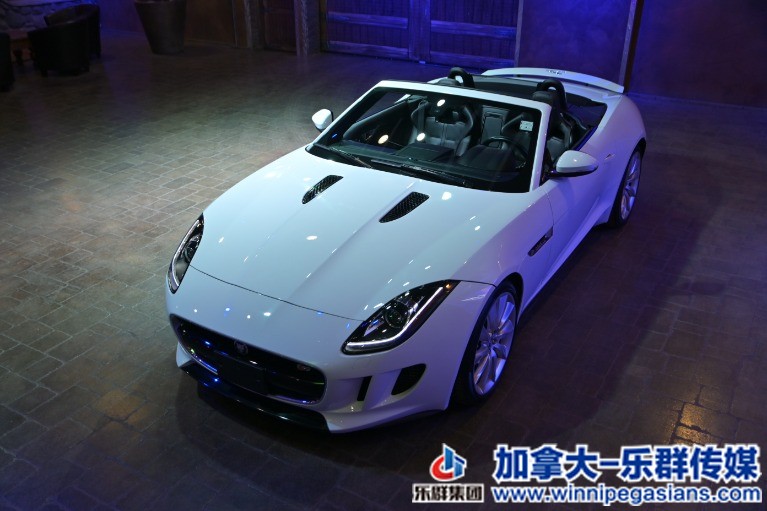 Used-2014-Jaguar-F-TYPE-Type-S-Supercharged-Pristine-Just-34000KM-1634425129 (1).jpg