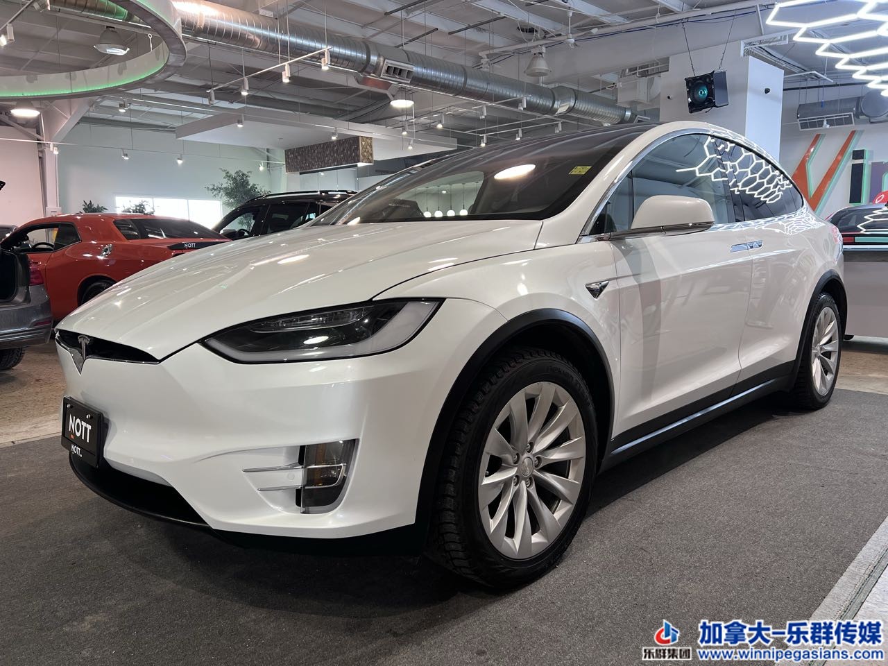 tesla_modelx_7253_2.jpg