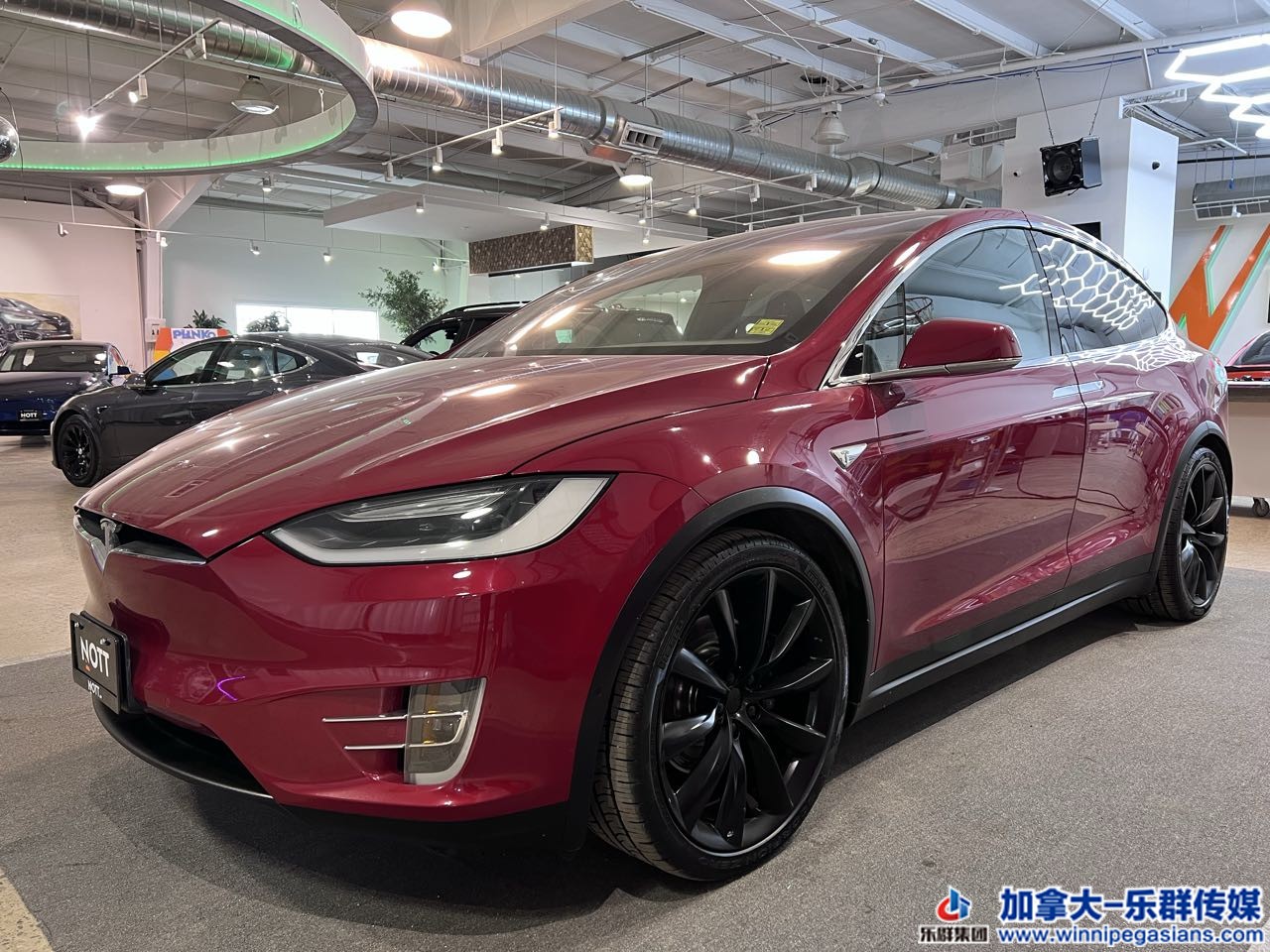 tesla_modelx_7244_2.jpg