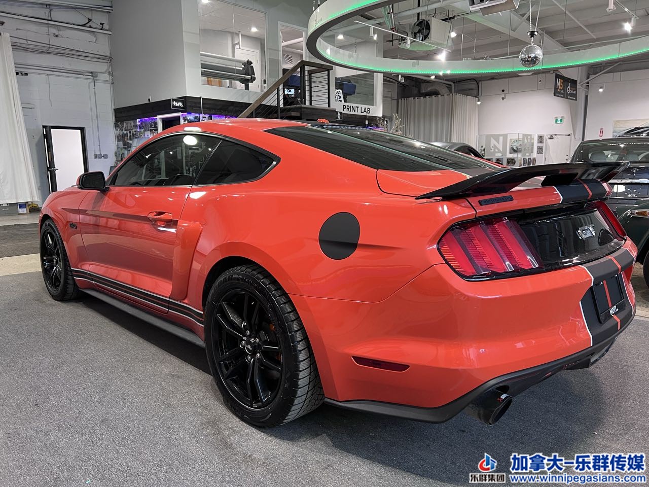 ford_mustang_7254_17.jpg