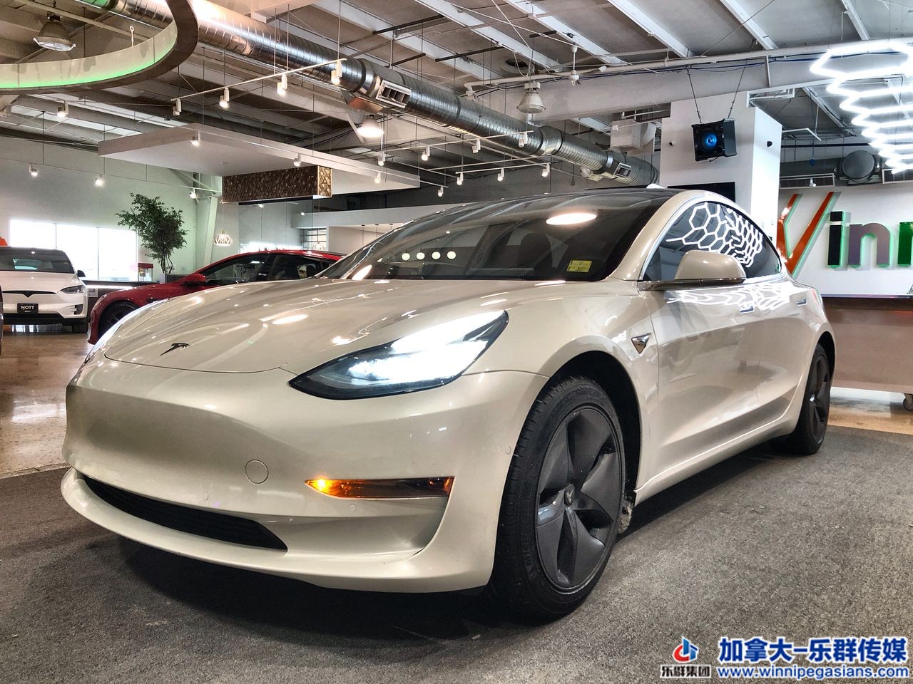 Tesla_model3_7189 (1).jpg