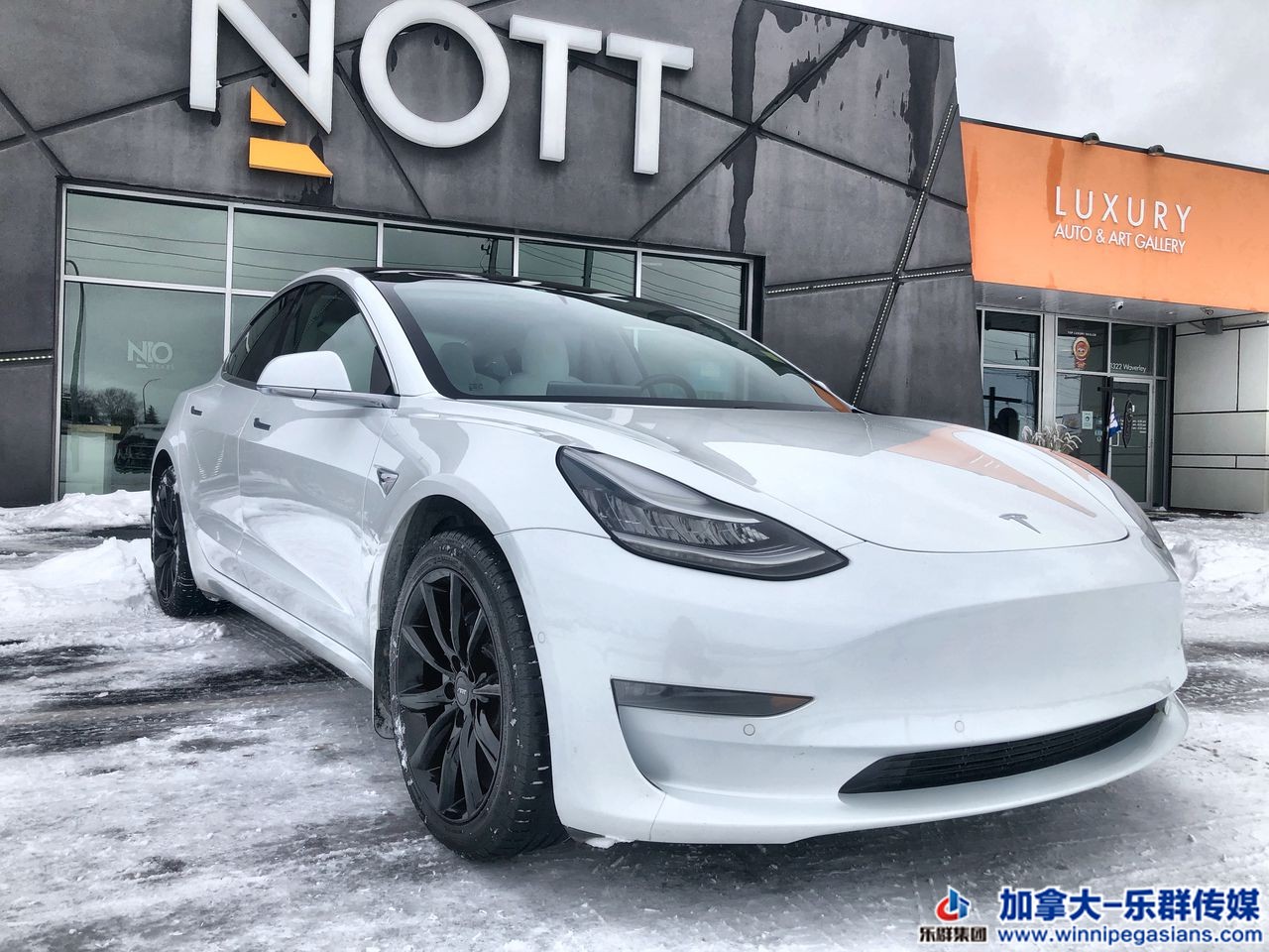 Tesla_Model3_7167 (1).jpg