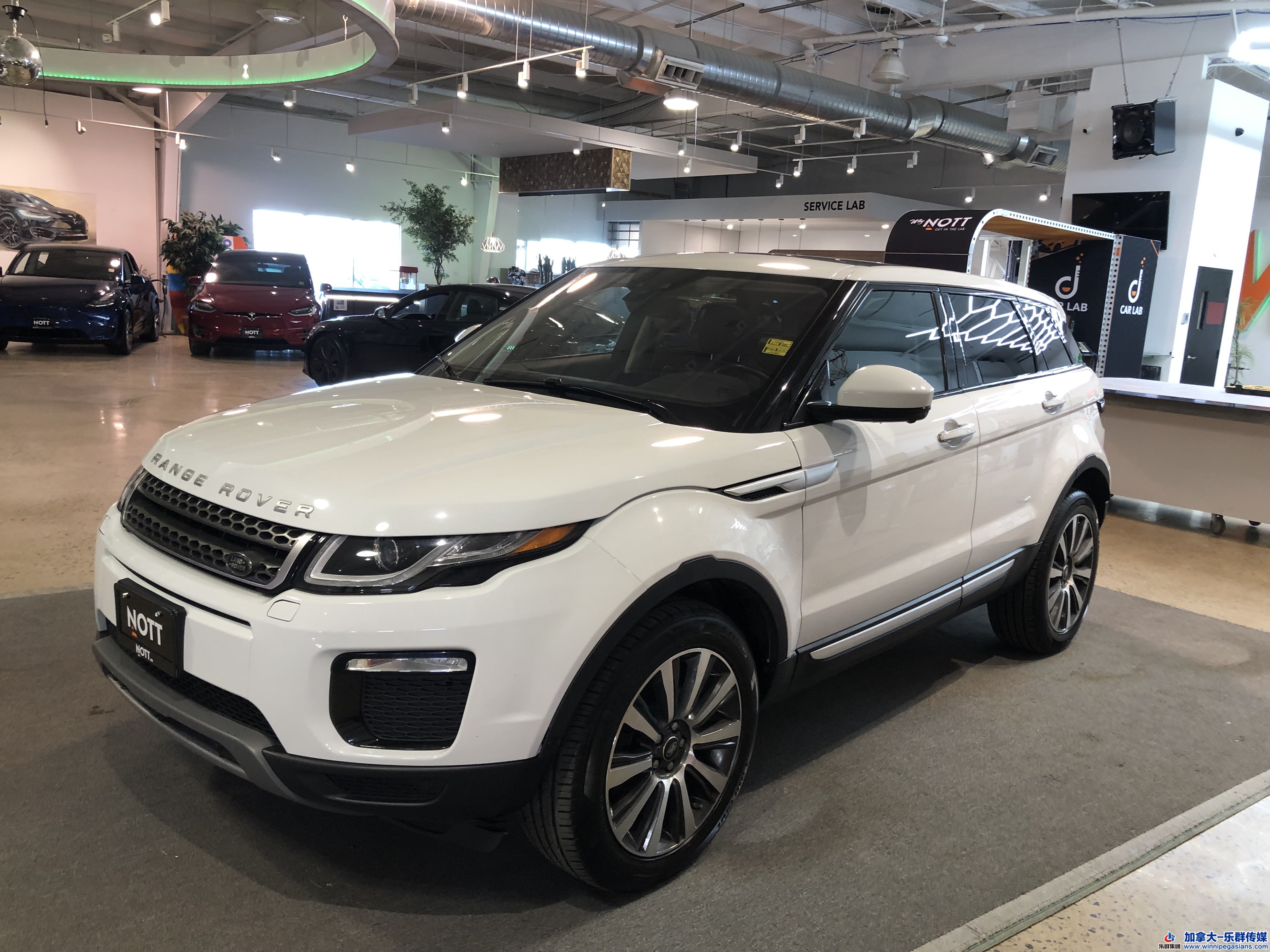 Landrover_evoque_7236_4.JPG