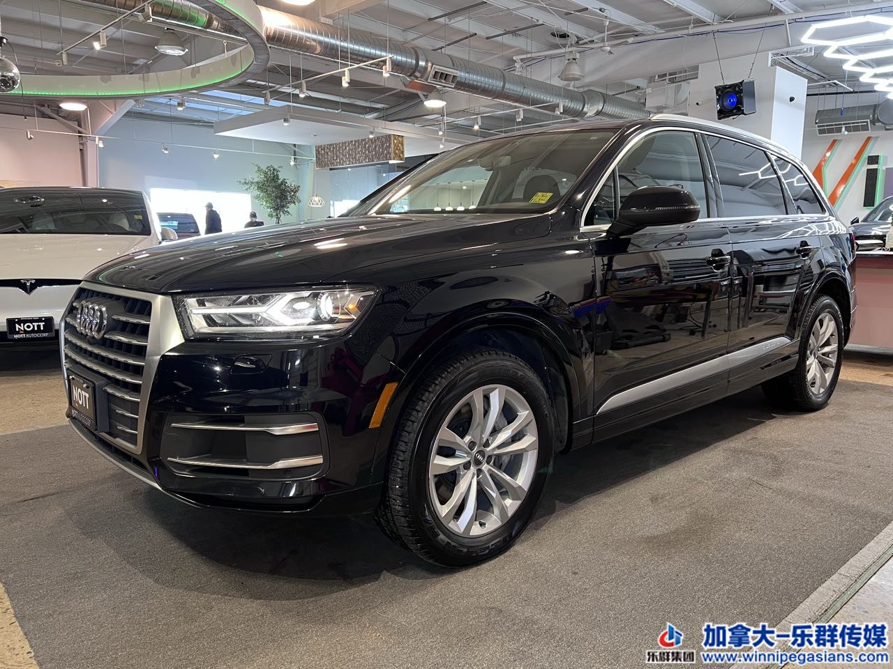 audi_q7_7107A_2.jpg