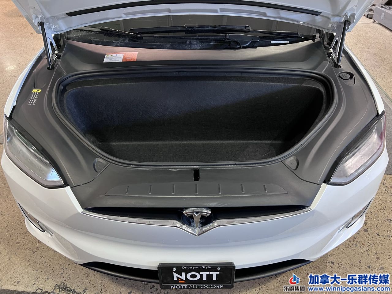 tesla_modelx_7239_17.jpg