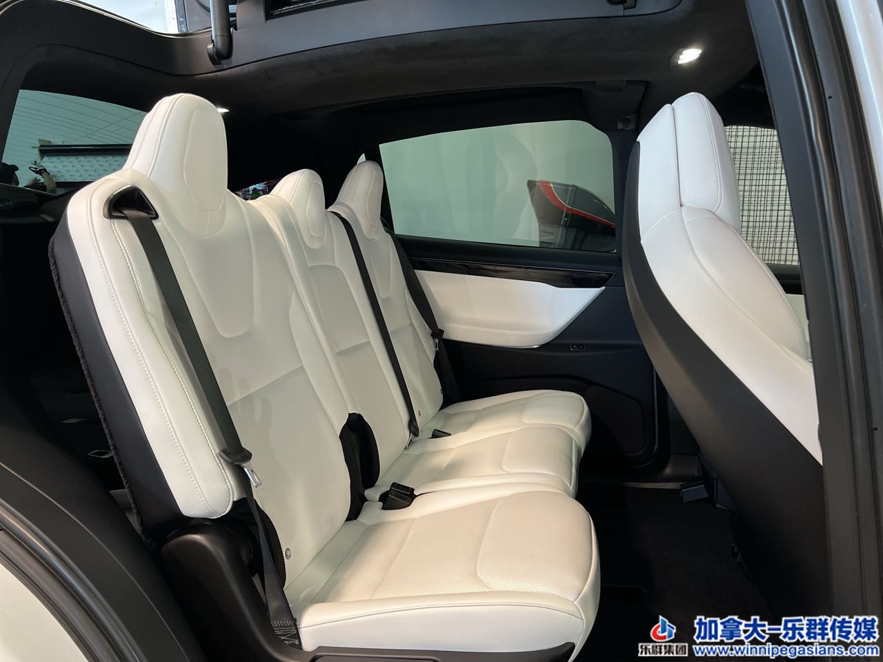 tesla_modelx_7239_12.jpg