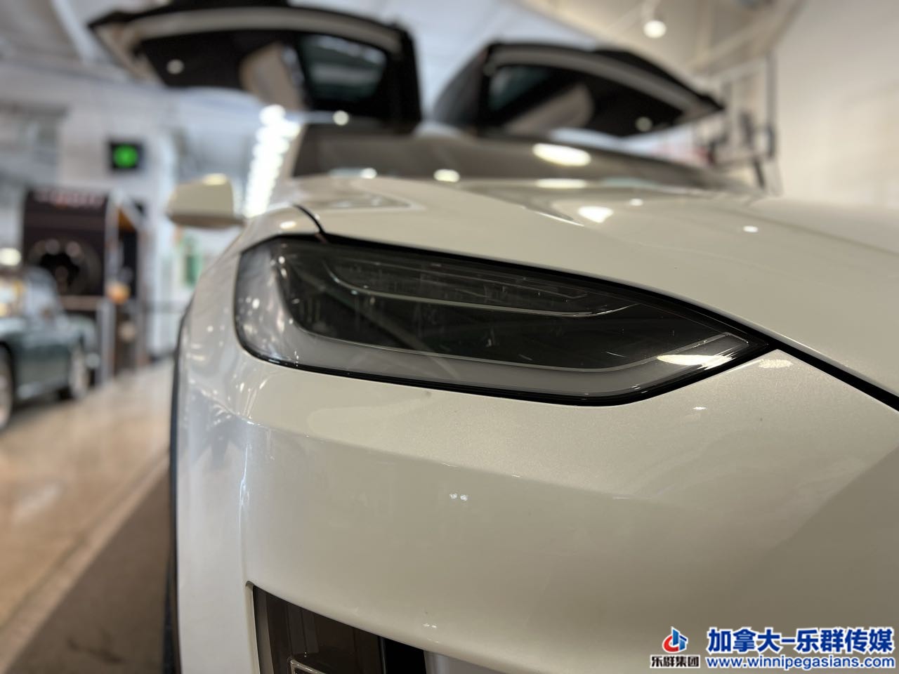 tesla_modelx_7239_4.jpg