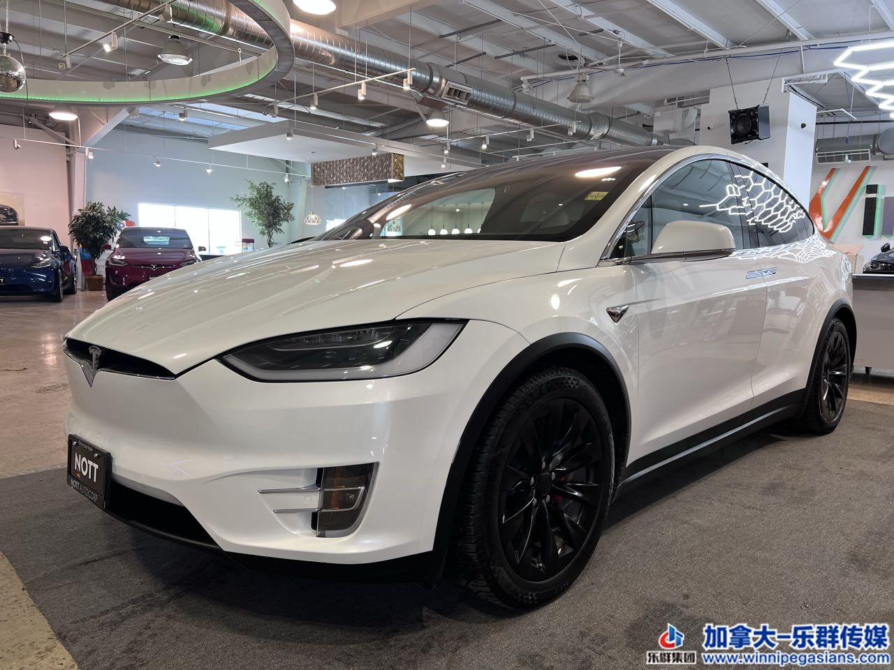 tesla_modelx_7239_2.jpg