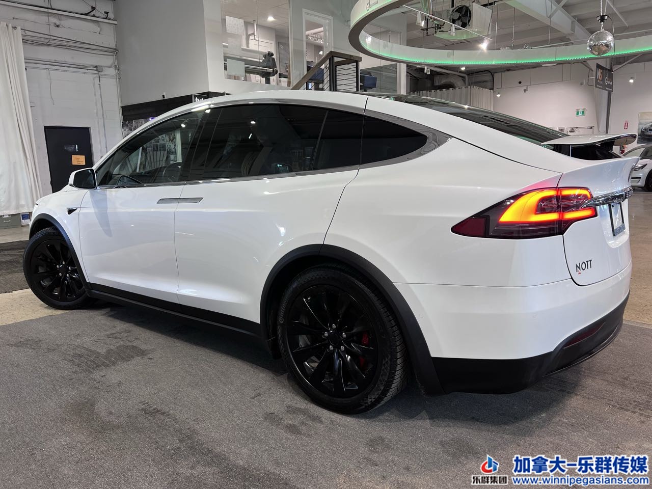 tesla_modelx_7239_15.jpg