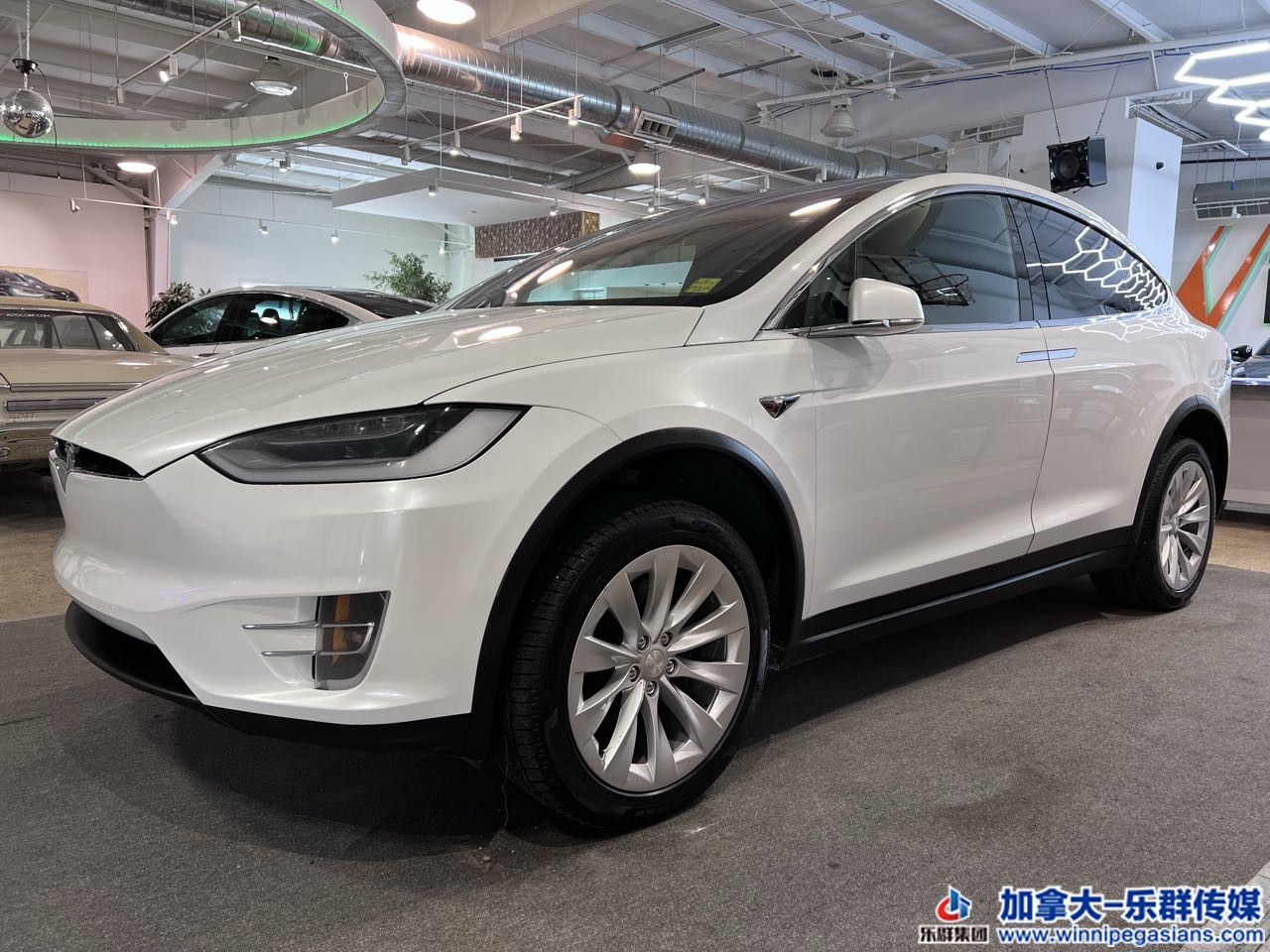 tesla_modelx_7240_2.jpg