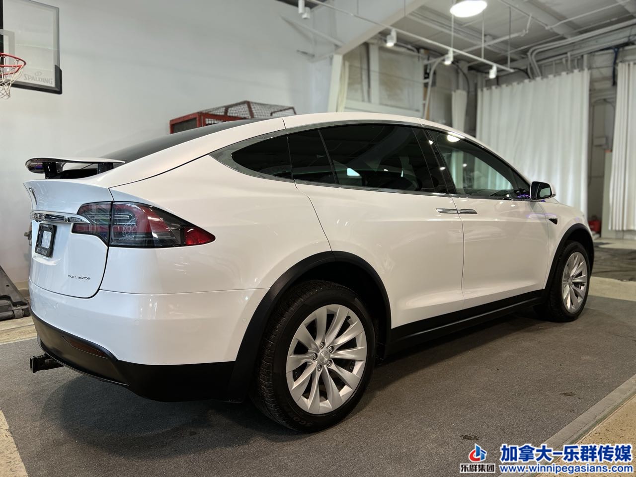 tesla_modelx_7240_13.jpg