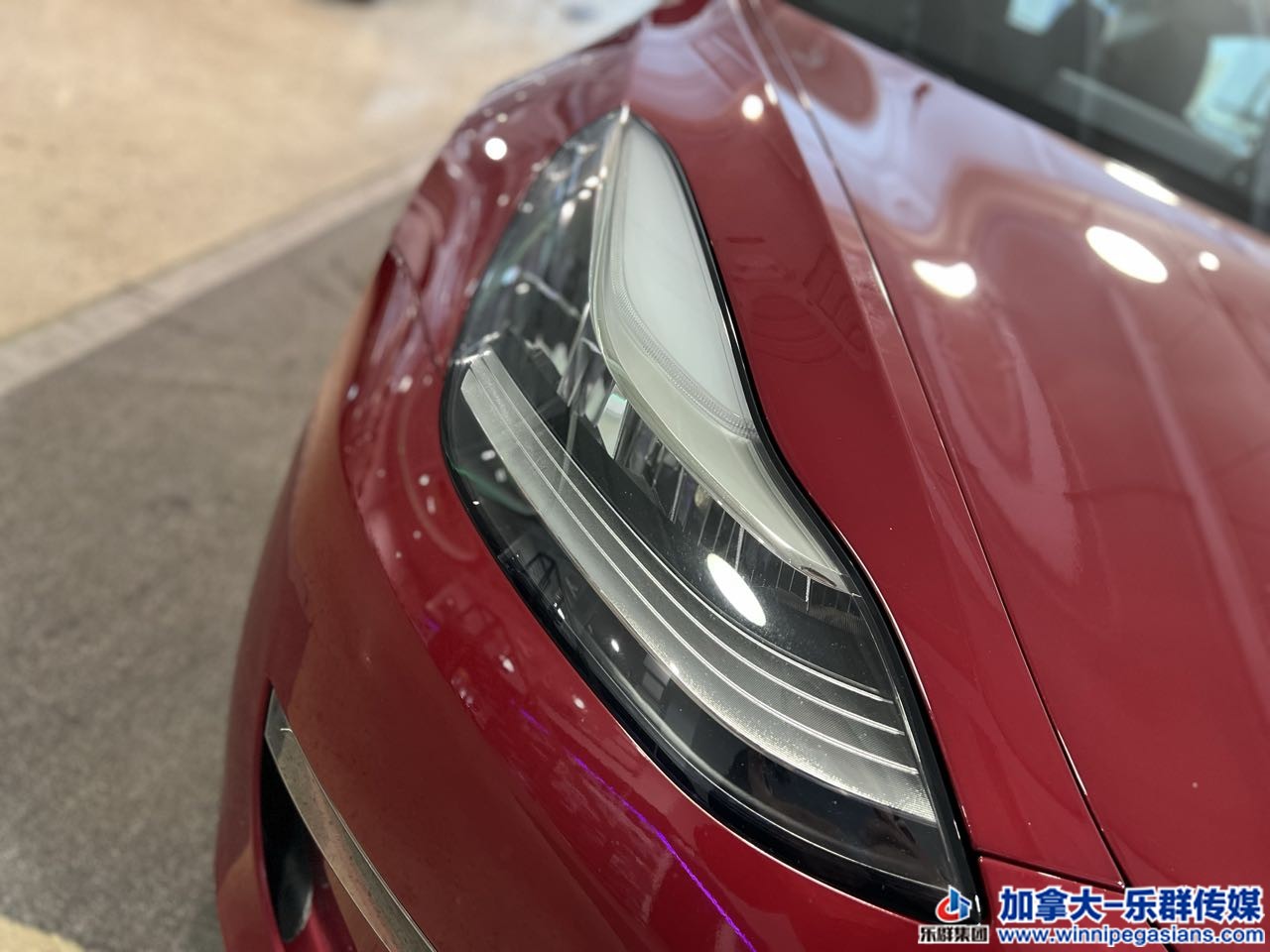 tesla_model3_7263_3.jpg