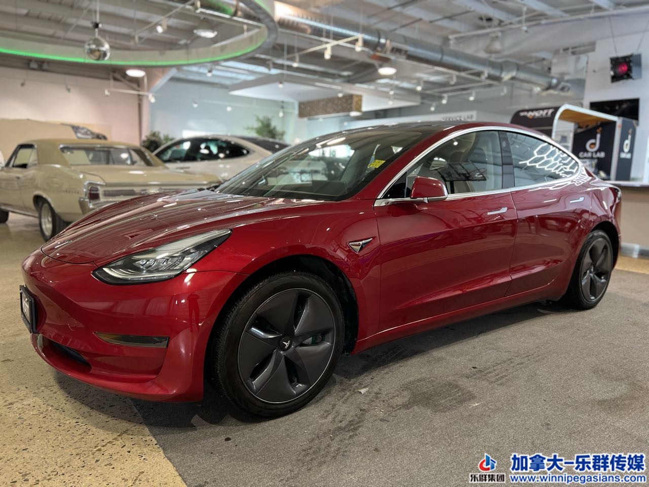 tesla_model3_7263_2.jpg