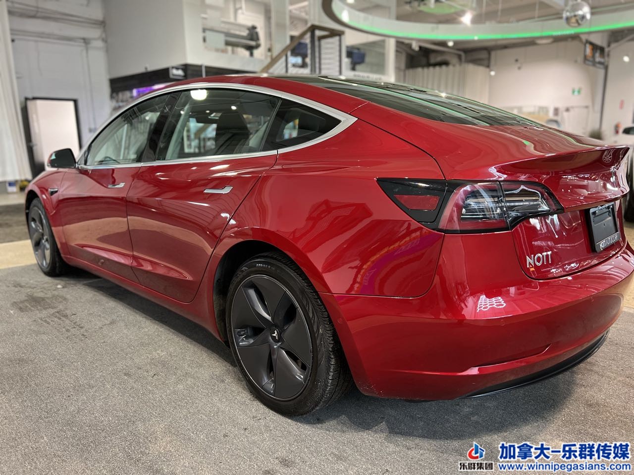 tesla_model3_7263_14.jpg