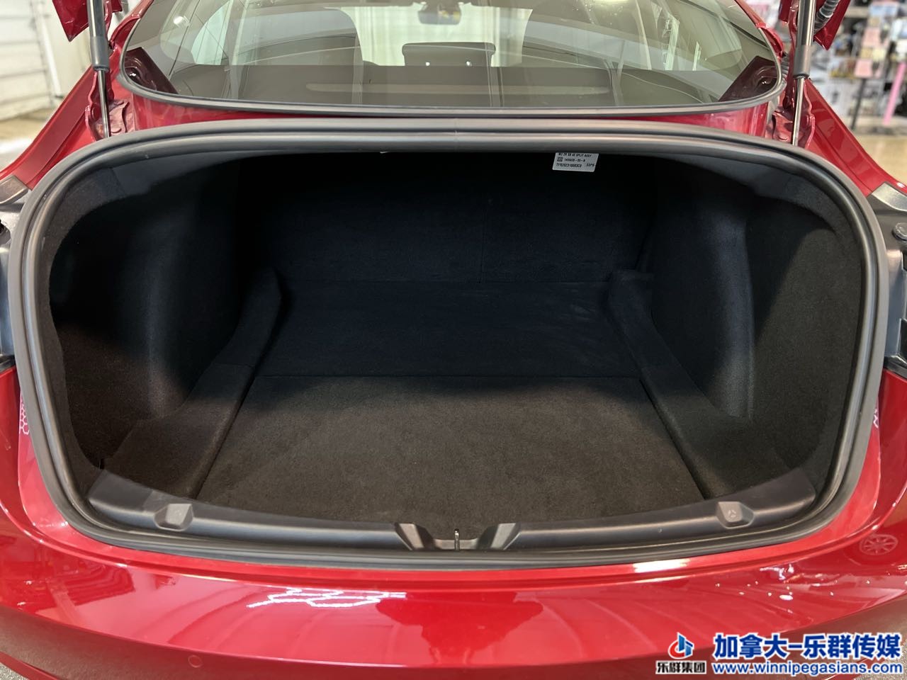 tesla_model3_7263_13.jpg