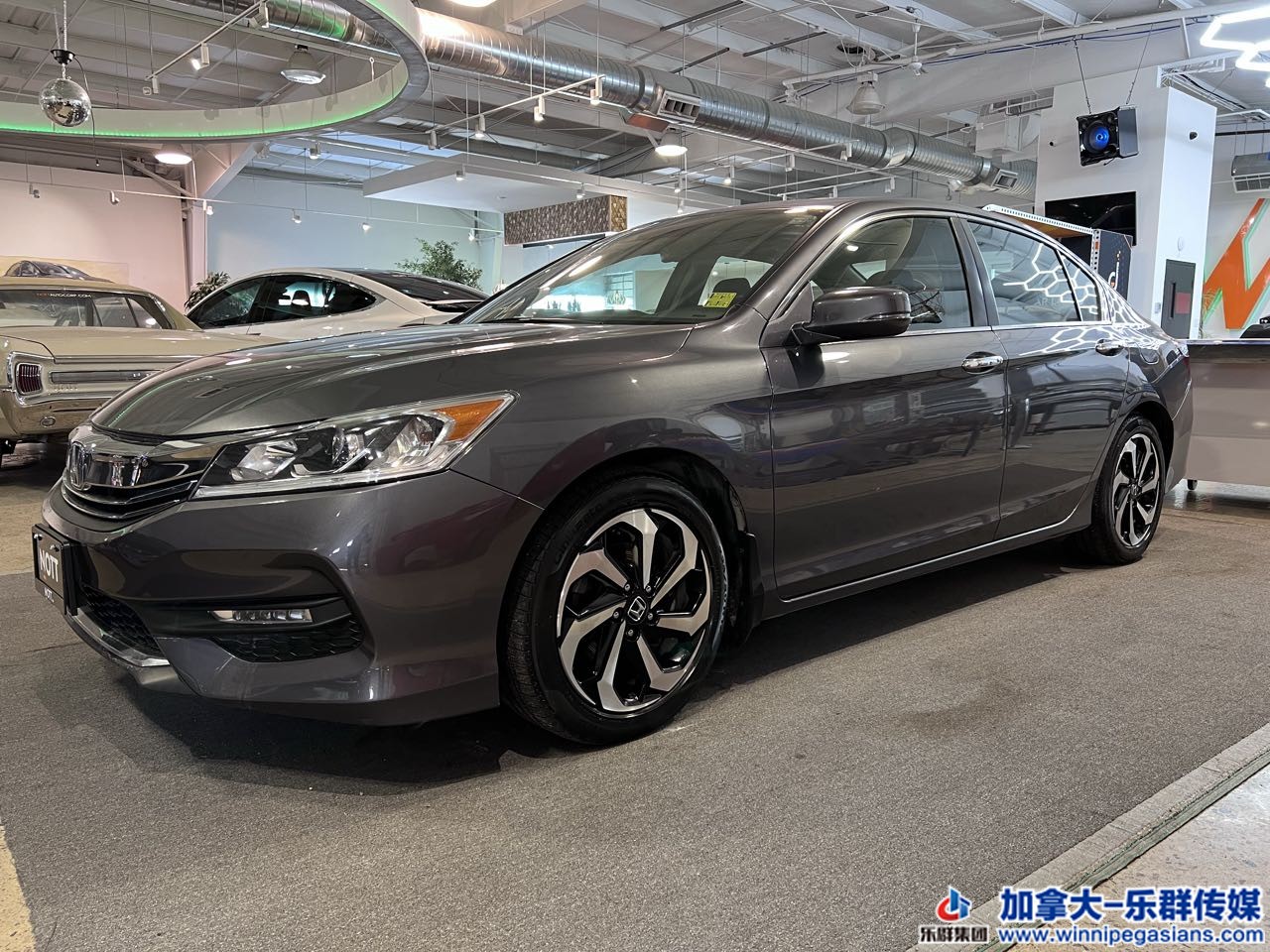 honda_accord_exl_7024a_2.jpg