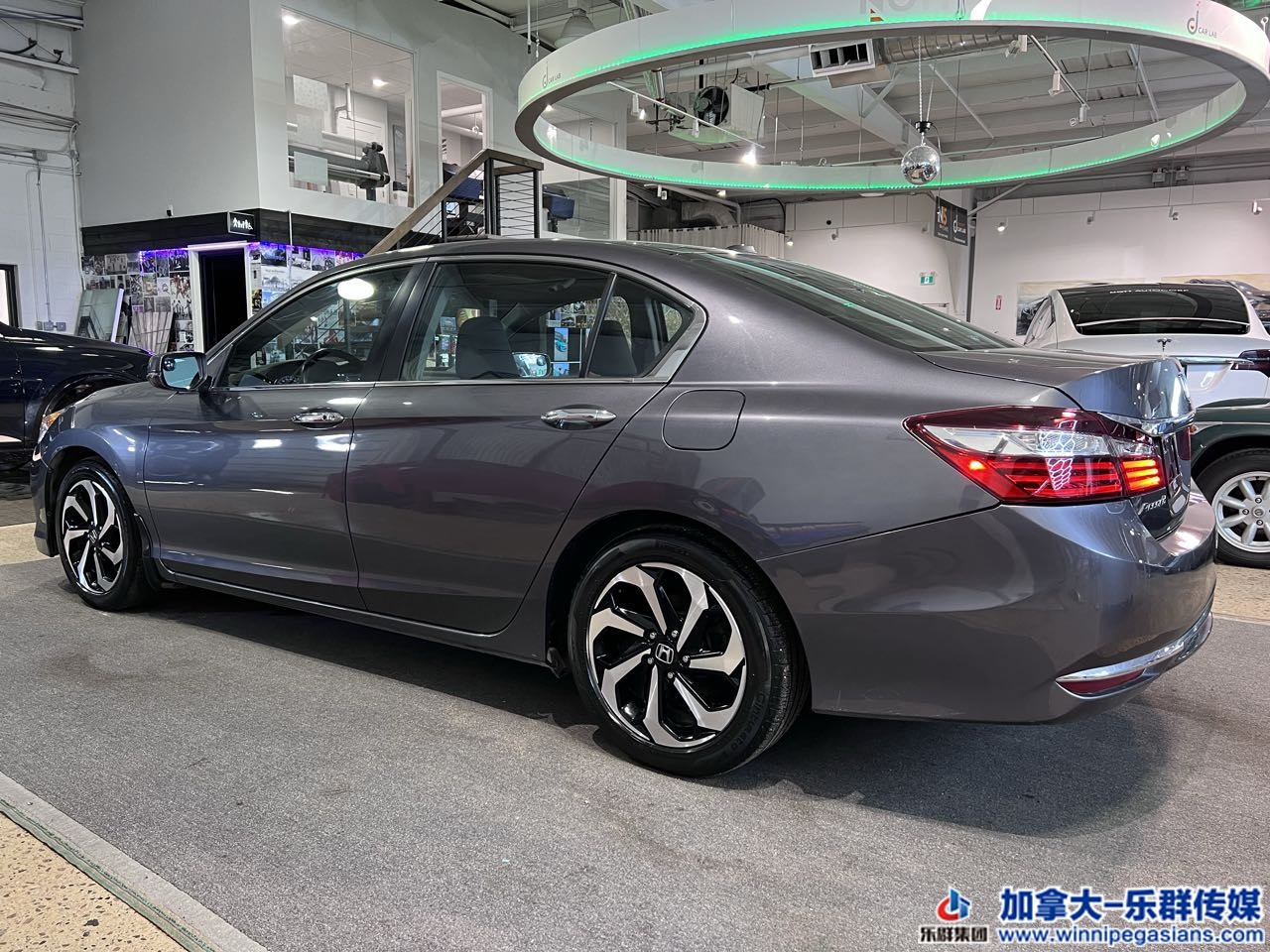 honda_accord_exl_7024a_15.jpg