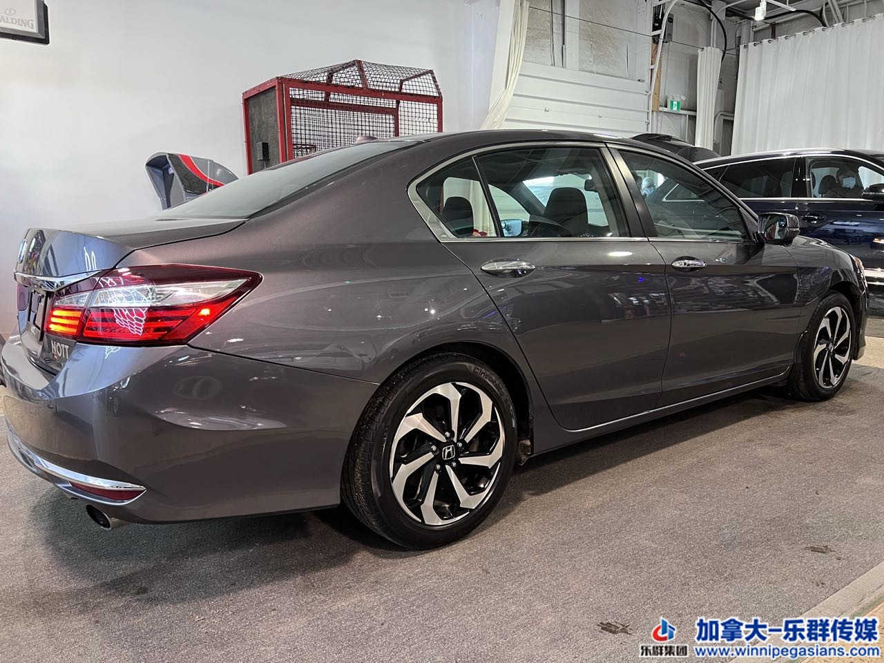 honda_accord_exl_7024a_14.jpg