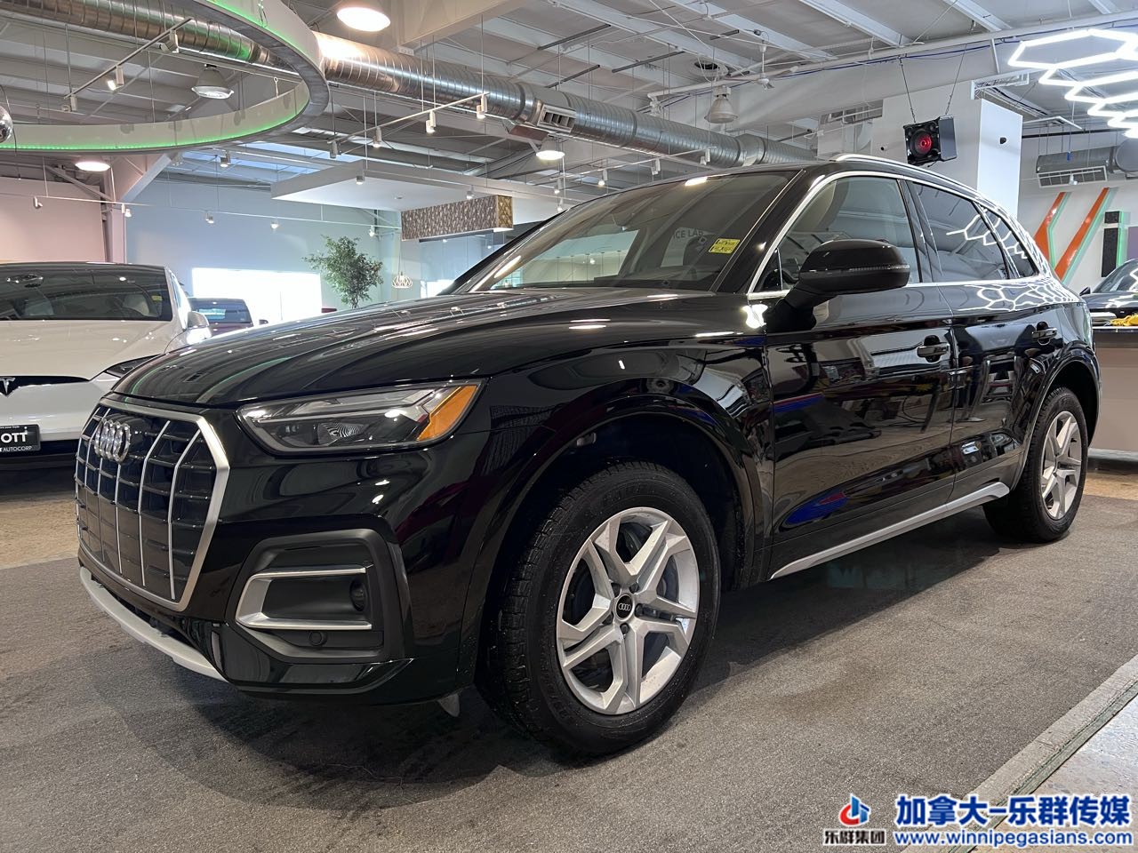 audi_q5_7267_2.jpg