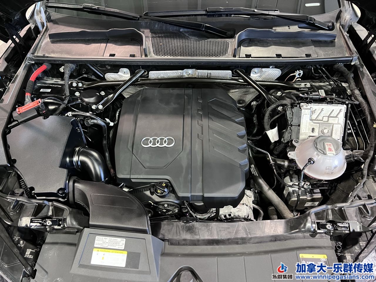 audi_q5_7267_16.jpg