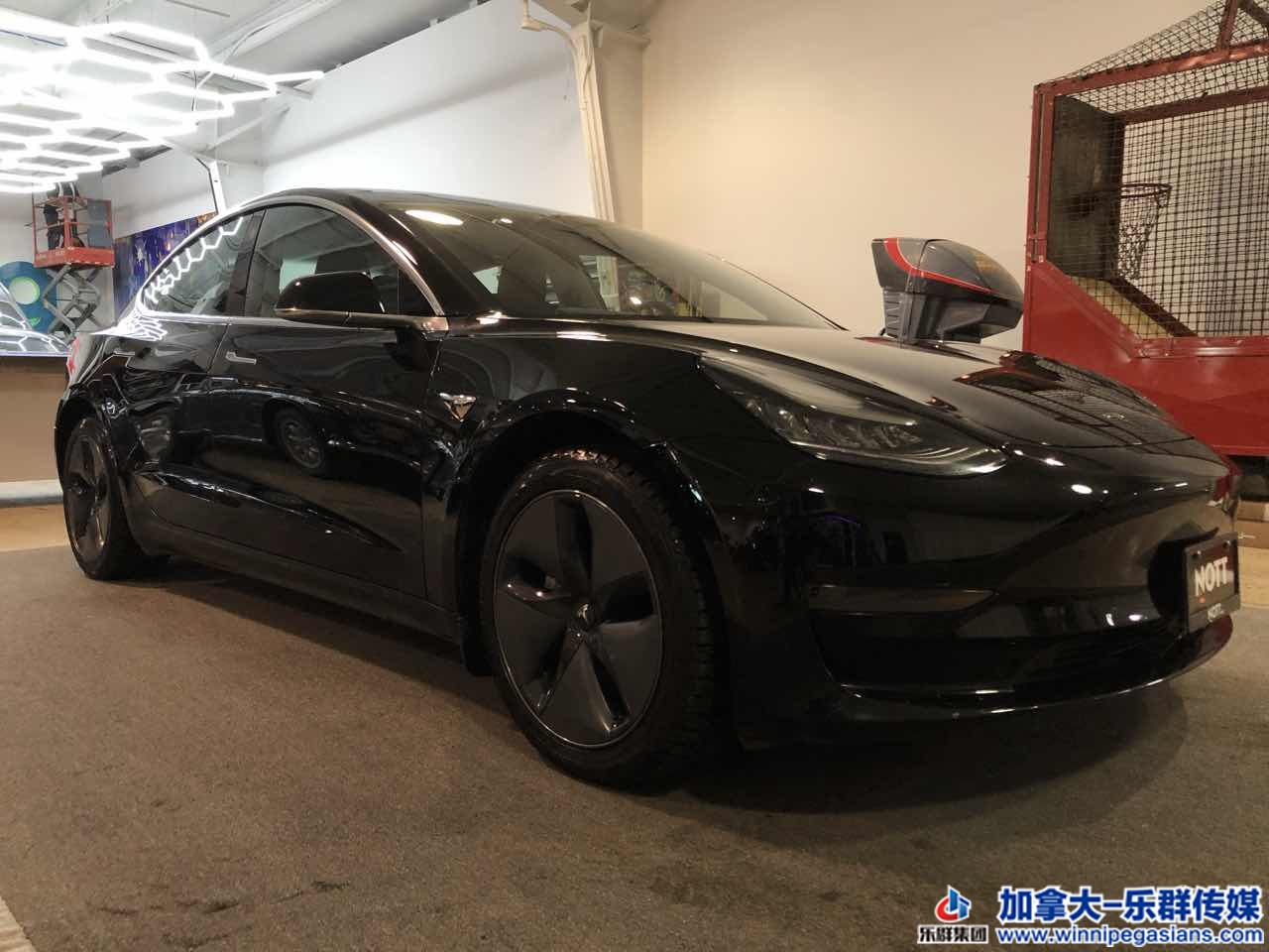 tesla_model3_7257_2.jpg