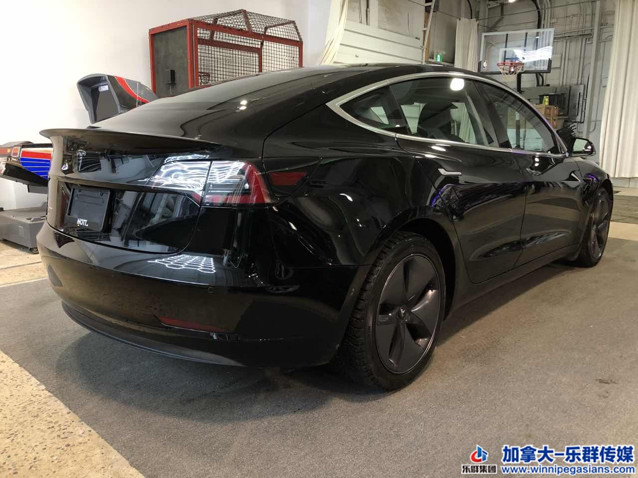 tesla_model3_7257_16.jpg