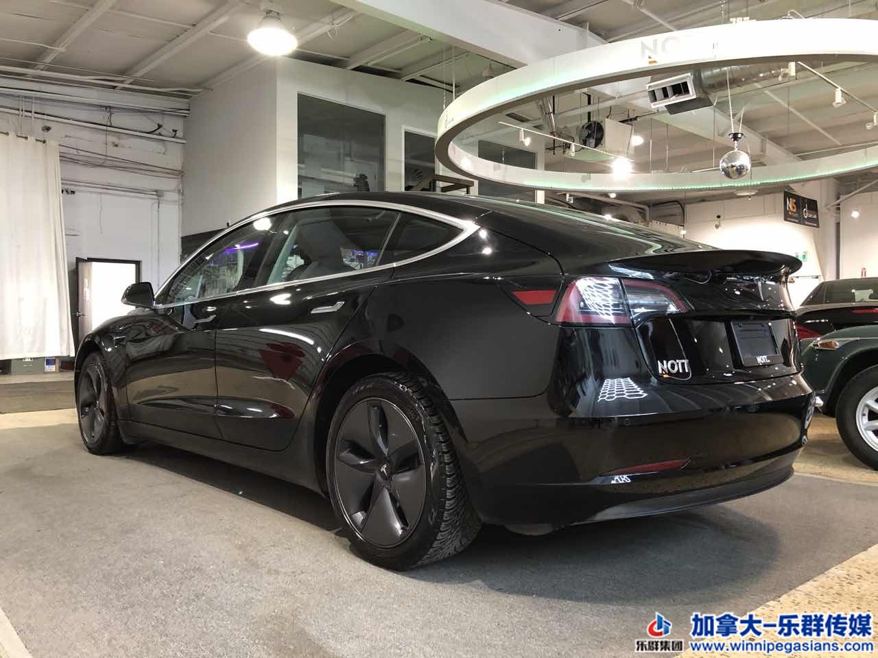 tesla_model3_7257_17.jpg