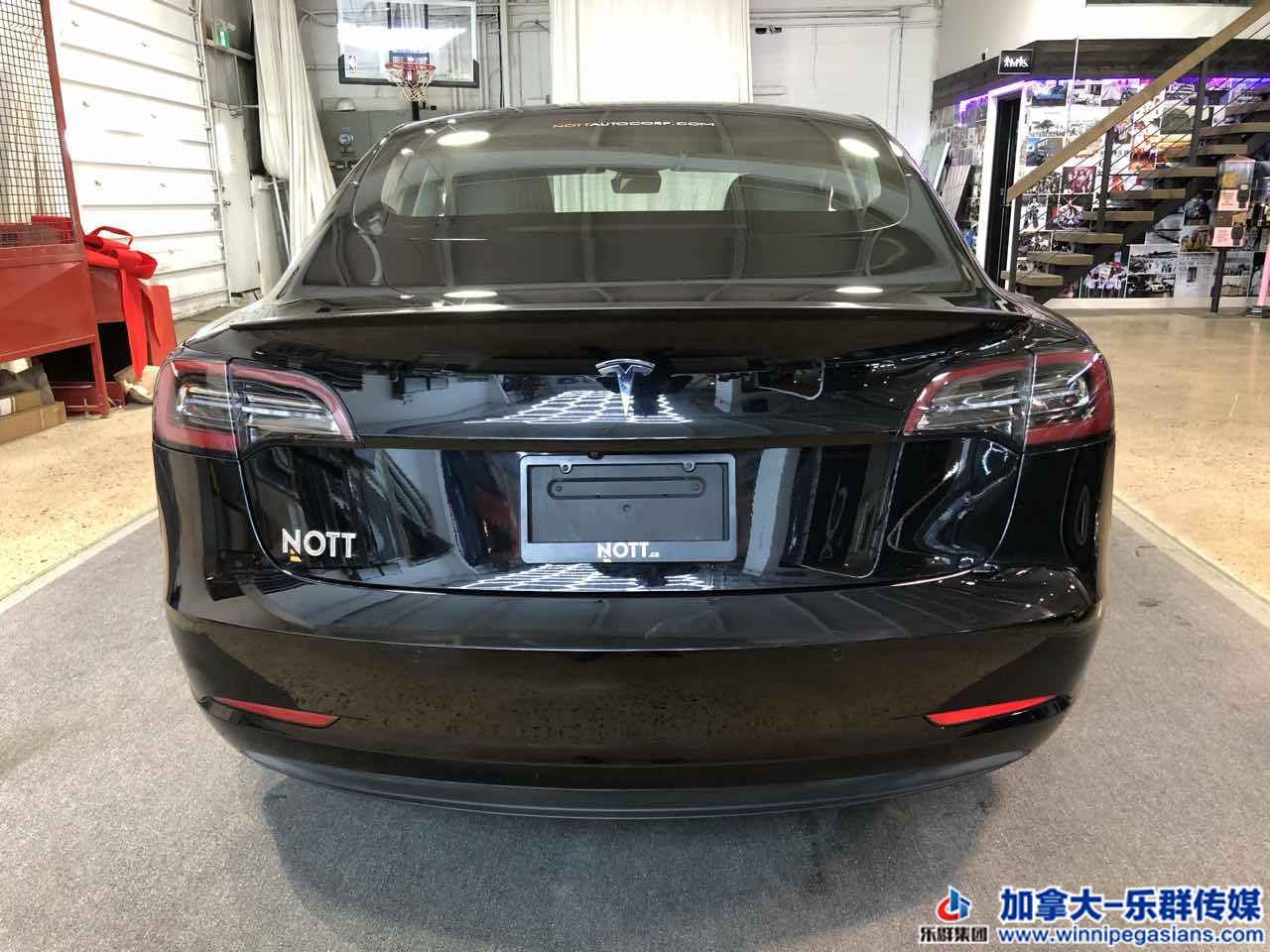 tesla_model3_7257_15.jpg