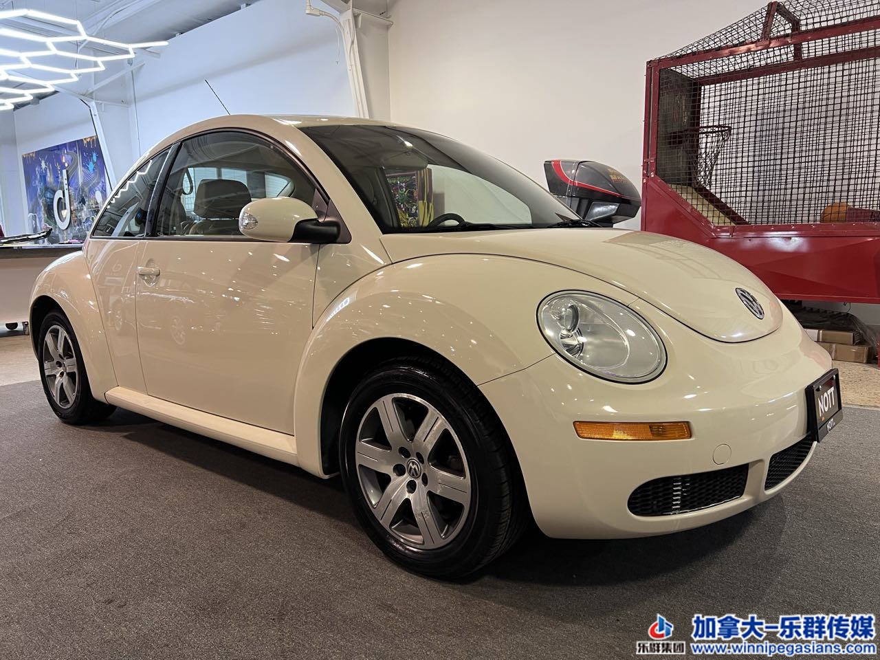 volksw_beetle_c7264_2.jpg