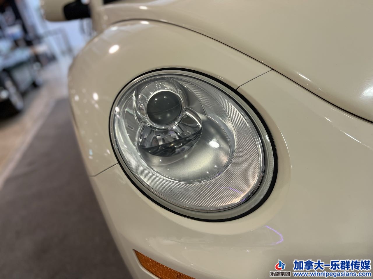 volksw_beetle_c7264_3.jpg