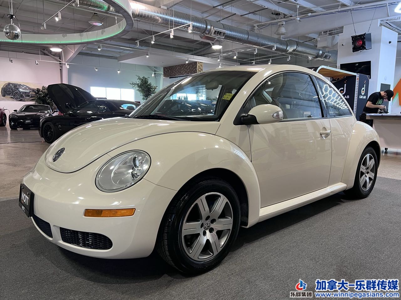 volksw_beetle_c7264_1.jpg