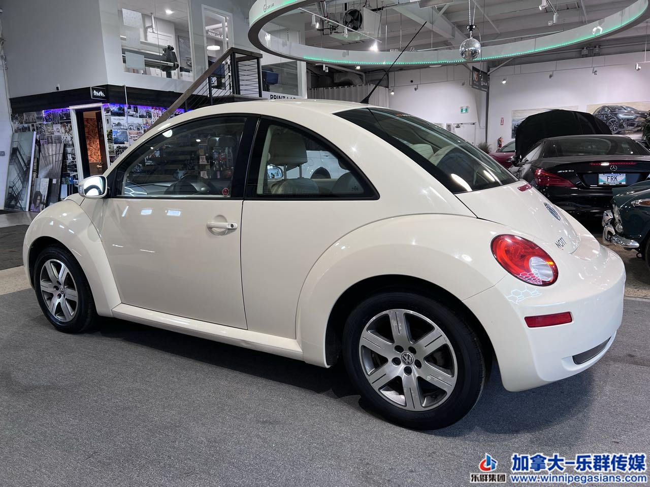 volksw_beetle_c7264_15.jpg