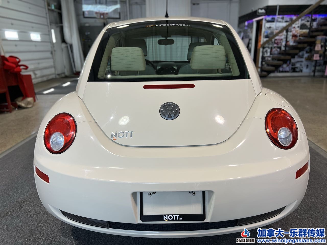 volksw_beetle_c7264_12.jpg