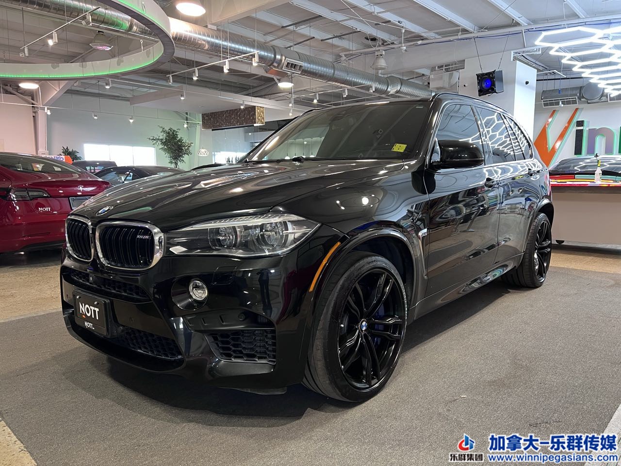 bmw_x5m_7287_1.jpg