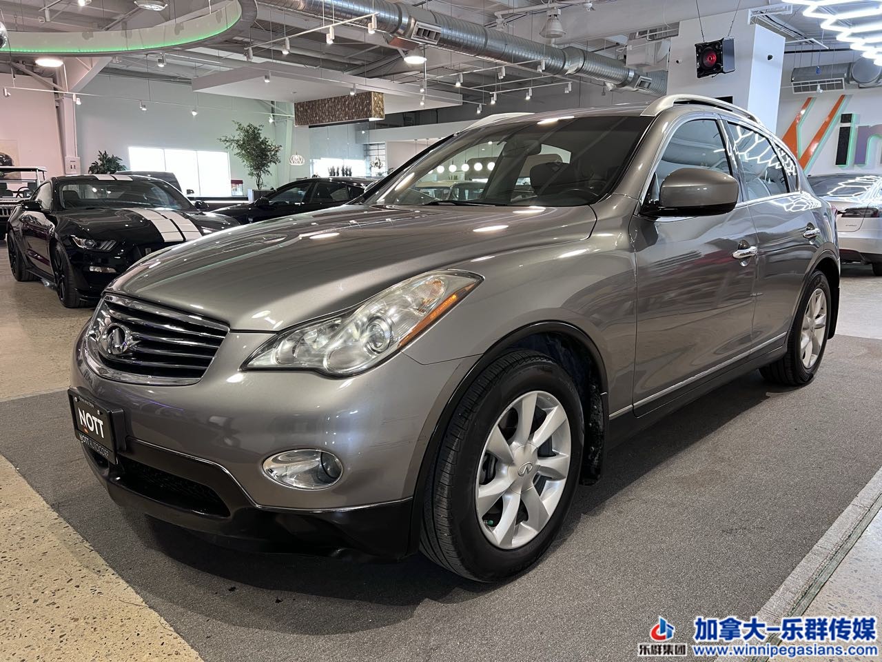 infiniti_ex35_C7261_1.jpg